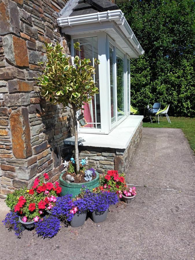Mulberry Lodge Blarney Exterior photo